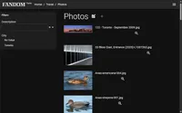 Search Layout